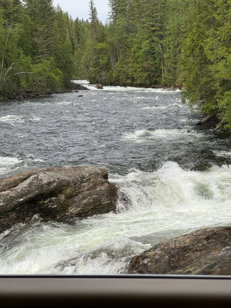 The Mushbowl, Murtle River